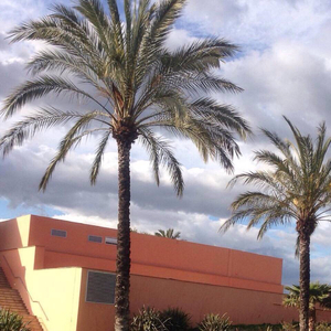 美女被捅个不停
