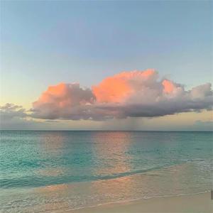 美女被捅个不停
